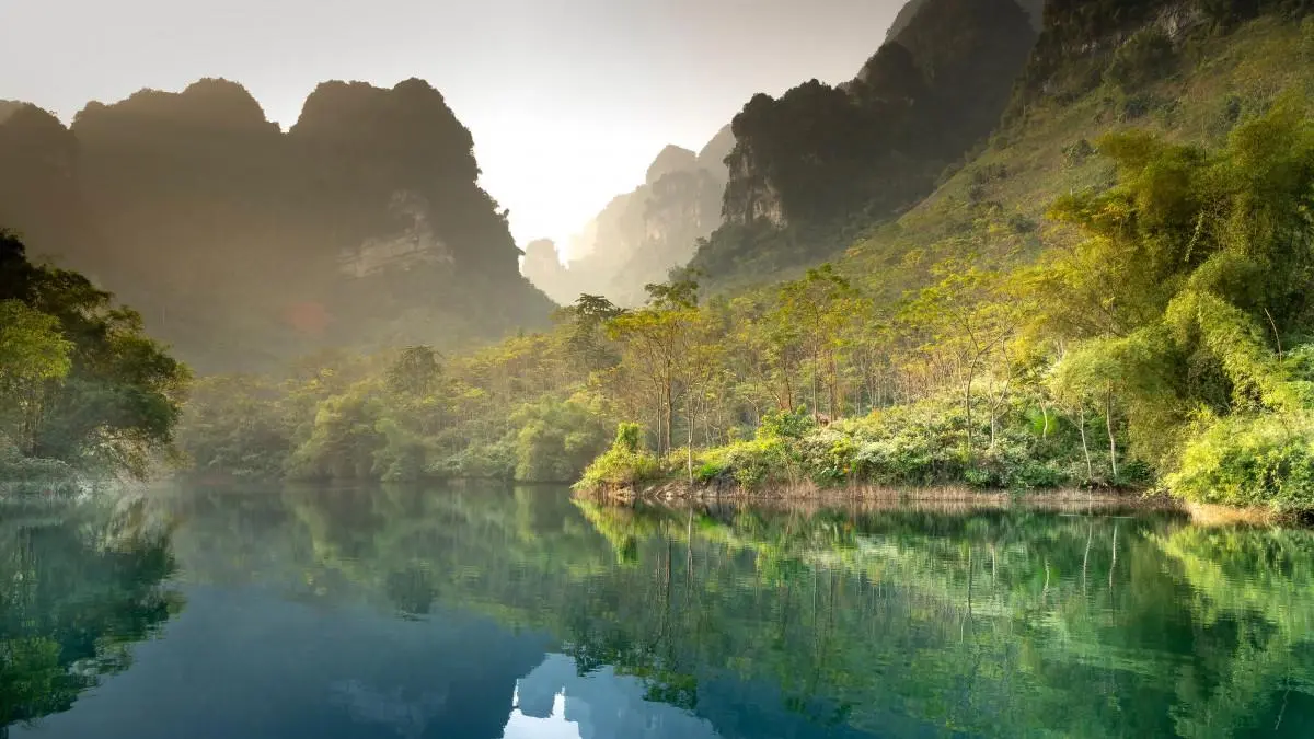 高效稳定性