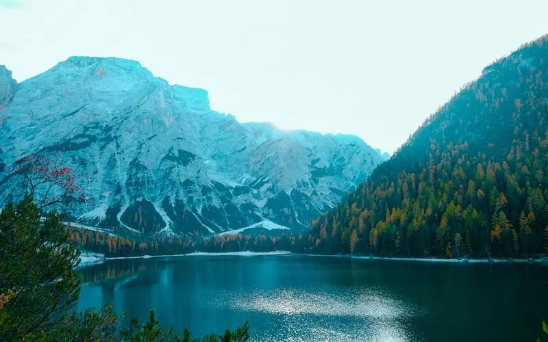 高效智能